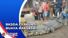 Ditangkap karena Diduga...