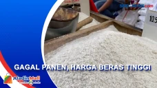 Pedagang di Pasar Cisalak...