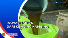 Seorang Pria di Rembang...