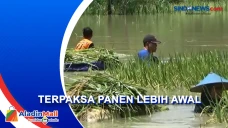 Sungai Bengawan Solo...