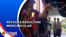 Ular Masuk Kap, Petugas...