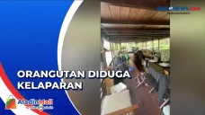 Syuting Video Klip,...