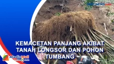 Pohon Tumbang dan Tanah...
