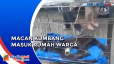 Sakit dan Penuh Luka,...