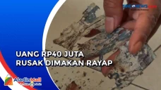 Dimakan Rayap, Uang...