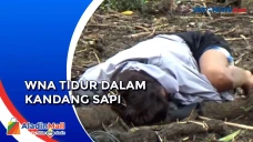 Diduga Mabuk Berat,...