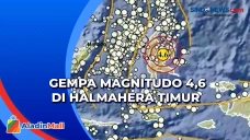 Gempa Dangkal Magnitudo...
