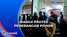 Tebang Puluhan Pohon,...