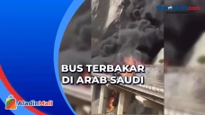 Tabrak Jembatan, Bus...