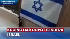 Viral, Beredar Video...