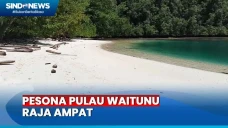 Mengunjungi Pulau Waitunu...