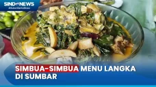 Sensasi Simbua-Simbua,...