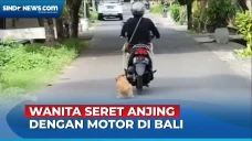 Wanita Seret Anjing...