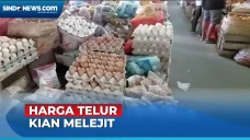 Harga Telur Ayam Ukuran...