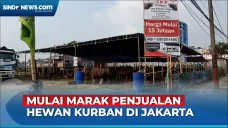Penjualan Hewan Kurban...
