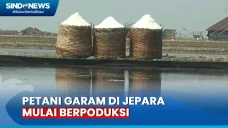 Cuaca Panas, Petani...