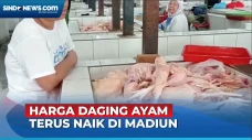 Harga Daging Ayam Terus...