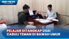 Cabuli Temandi Bawah...