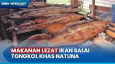 Ikan Salai Tongkol,...