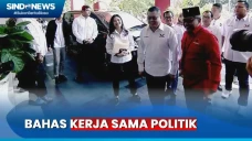 Hary Tanoesoedibjo dan...