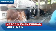 Jelang Hari Raya Idul...