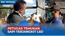 Jelang Hari Raya Idul...