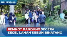 Sengketa Kepemilikan...