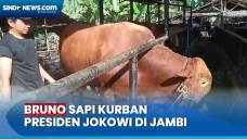 Pengusaha Muda Asal...