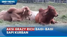 90 Ekor Sapi Dibagikan...
