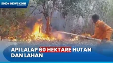 Kebakaran Hutan dan...