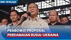 Proposal Perdamaian...