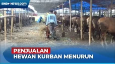 Harga Melambung, Penjualan...