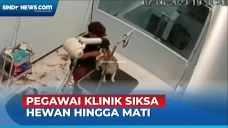 Pegawai Klinik Hewan...