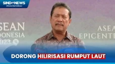 Punya Potensi Lahan...