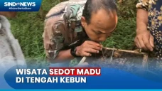 Serunya Wisata Sedot...