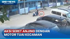 Sadis! 2 Pencuri Seret...