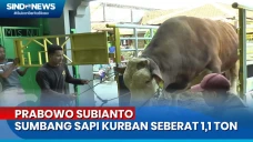 Iduladha 144 H, Prabowo...