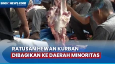 Daging Hewan Kurban...