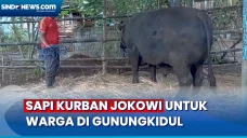 Puluhan Orang Dikerahkan...