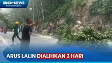 Penebangan Pohon, Arus...