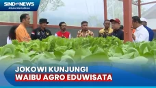 Kunjungi Waibu Agro...