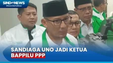 Jadi Ketua Bappilu PPP,...