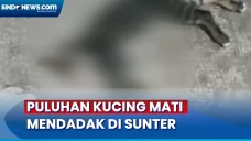 Diawali Kejang-Kejang,...