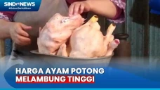 Harga Ayam Mahal, Warga...
