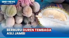 Rasanya Bikin Nagih!...