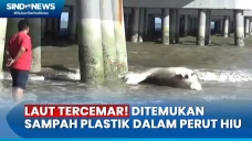 Tim Kesehatan Temukan...