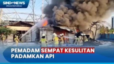Lapak Kardus dan Ban...