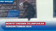 Berkeliaran Resahkan...