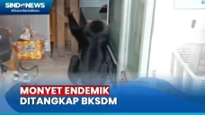 Kerap Resahkan Warga,...