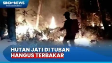 Diduga Sengaja Dibakar,...
